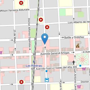 BIGOTES Y PATAS LAS PIEDRAS