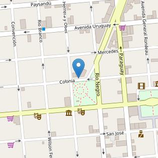 Agrupacion De Profesionales Asesores En Seguros