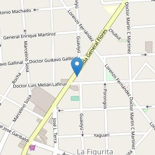TINTORERIA Y LAVADERO GRAL FLORES