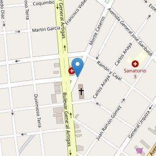 INFOSYS - CONTROLES Y BIOMETRICOS