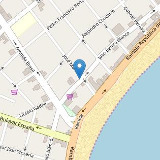 CLEAN CARPET HECTOR PARRELA