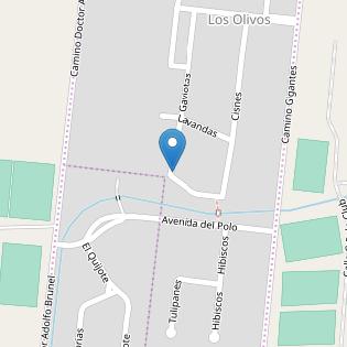 PROFESSIONAL WORK URUGUAY