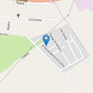 INSTRUCTOR DE MANEJO NICOLAS PONS